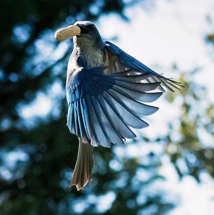 b5b07c5586b95ab80e2f567e64