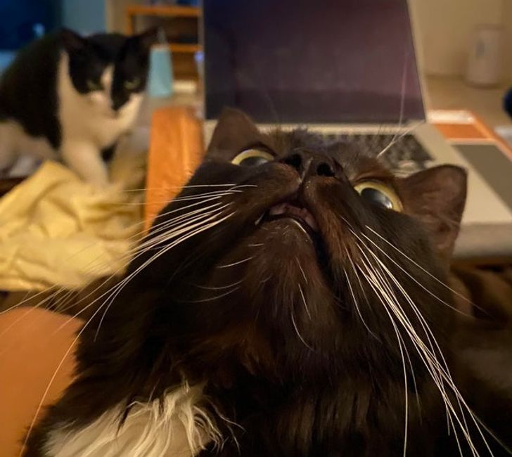 b5bafe527da7f327c9a423b076