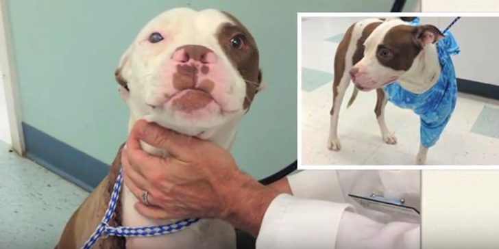 b5c4565db7af936e68a9cb9b21