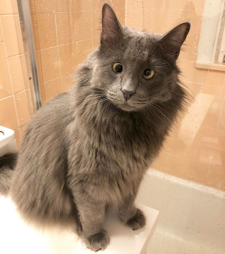 b5c9ef57de91f85a9d57f7a260