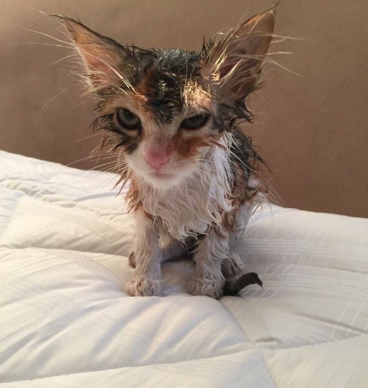 b5cb355bb3aaccfd82f2226bf2