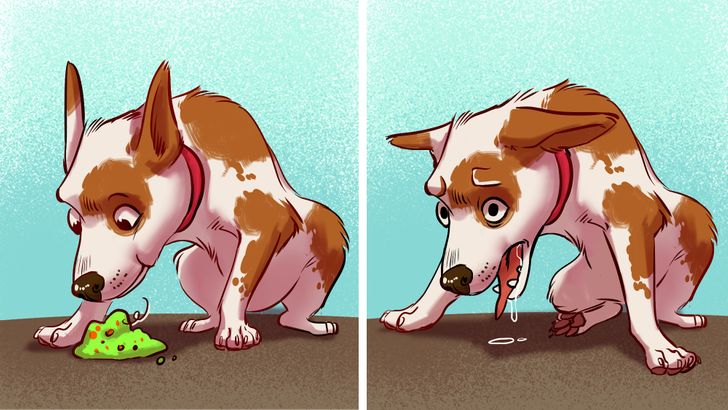 b5d0bf50a2b1ca4e3e855d230b