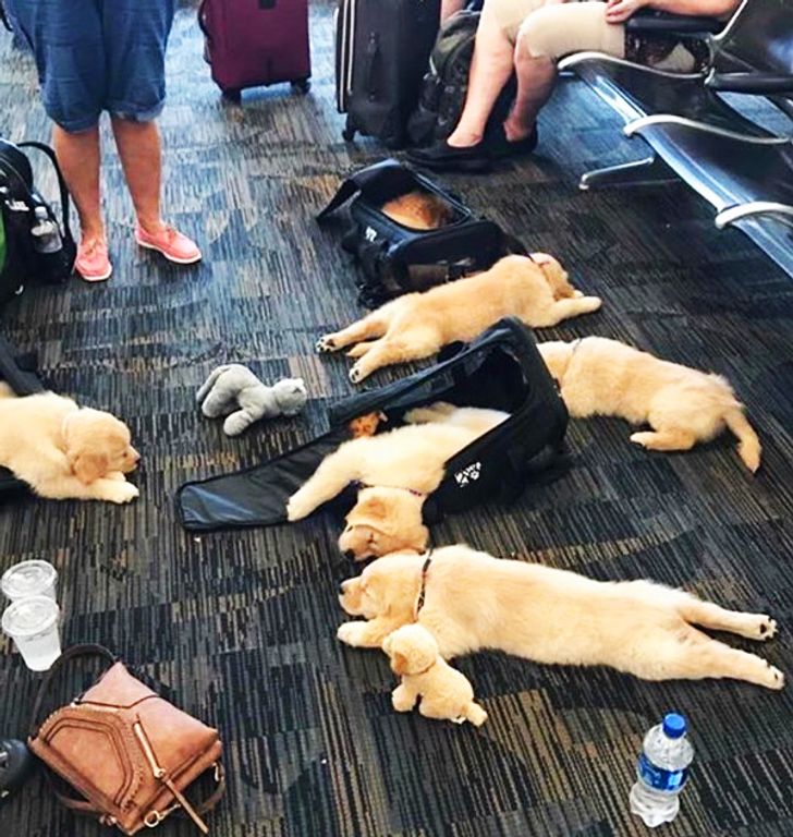 b5db2157a6aa75993a6b020a58