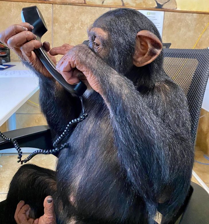 b5dbcc53eebf351c16091f48f7