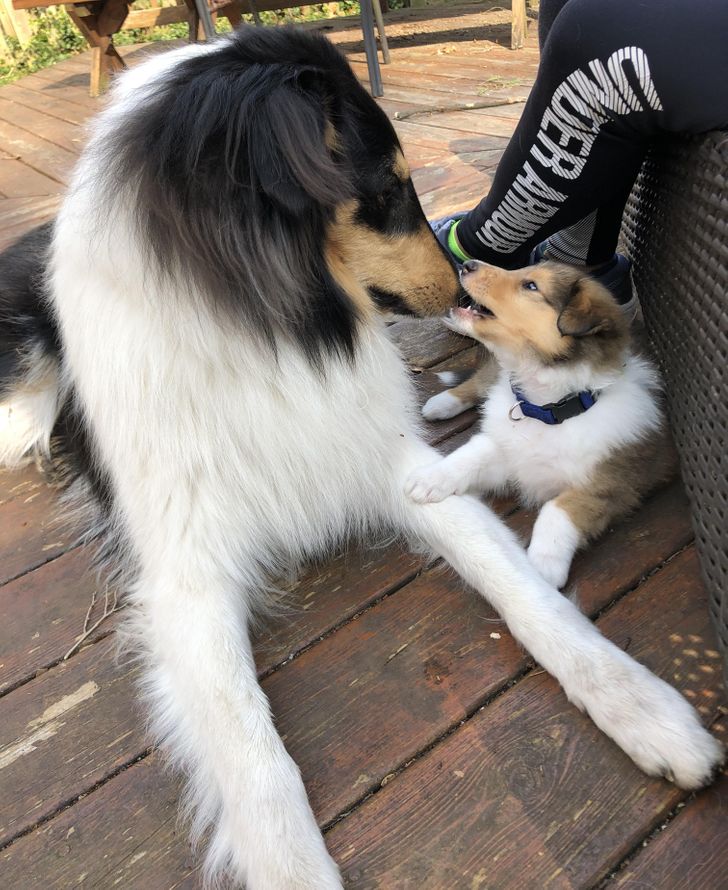 b5e5ba53b8a4f1fc466ffd4bb6