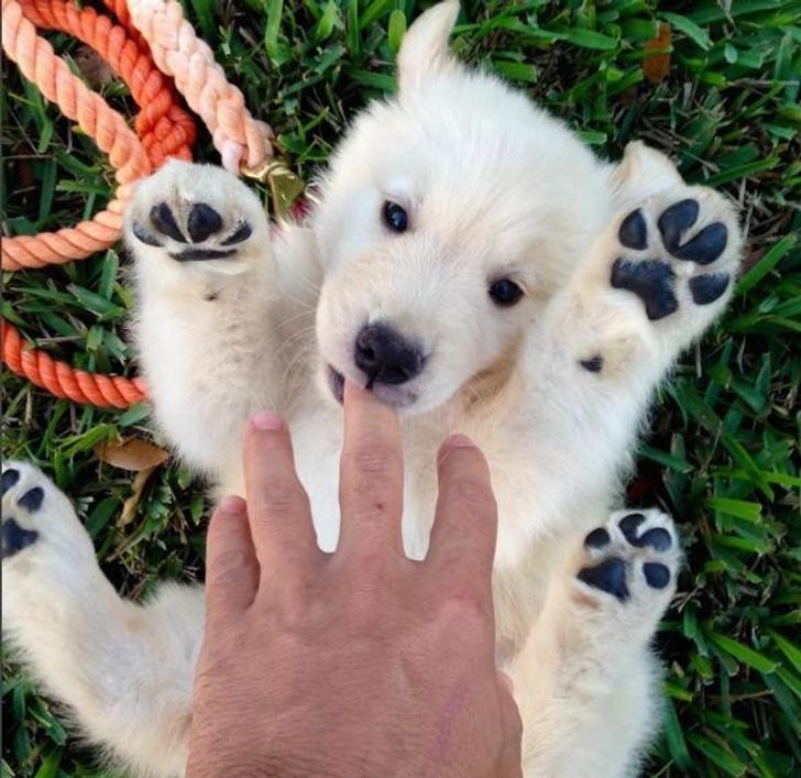 b5ec755a1a9e2e381ed1d32c10