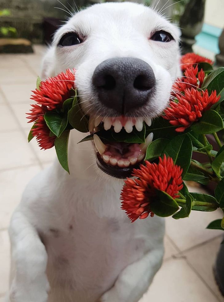 b5ecaf5bbab662c6fdad07c0b6