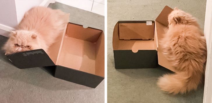 b602375344baf1e27a1f8b2157