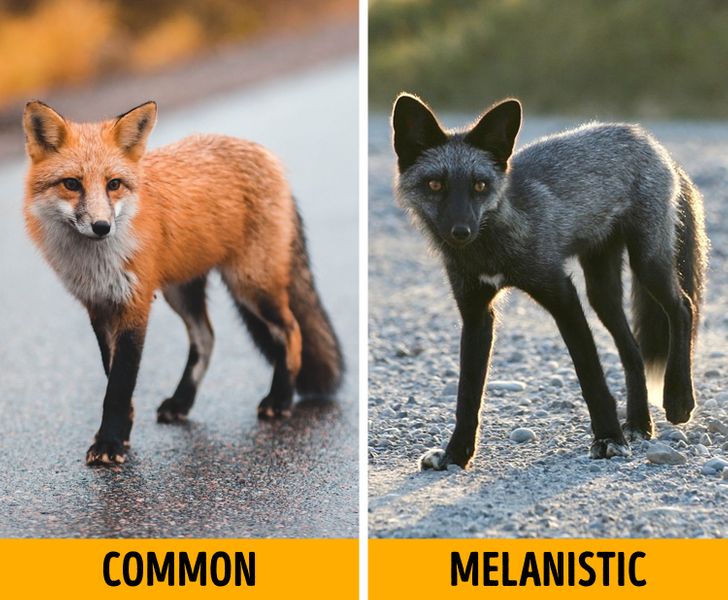 b6023f577da2b6795381d141ef