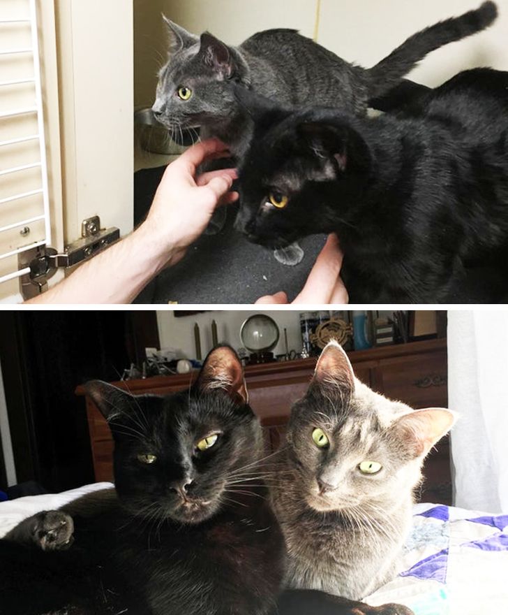 b605f75698bfee51e9a88c4961