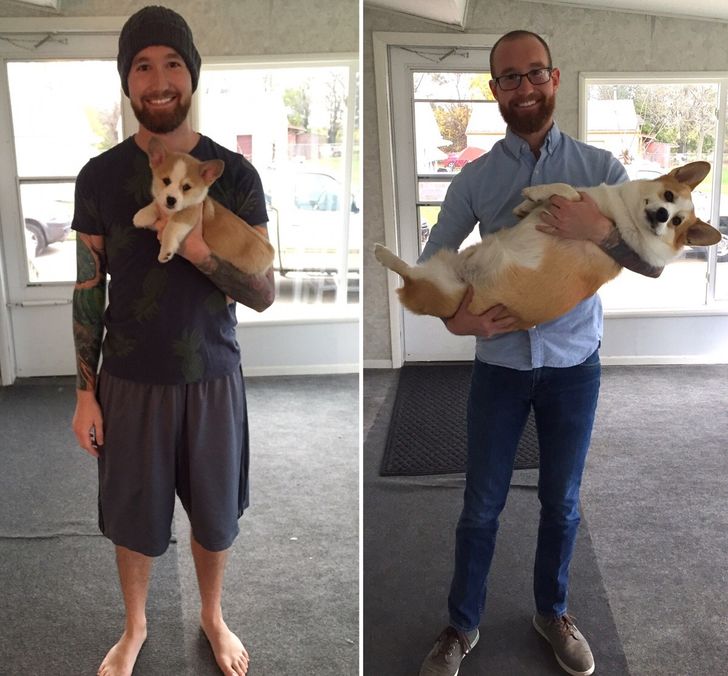 b60c295f6db5230a7711f2a60d