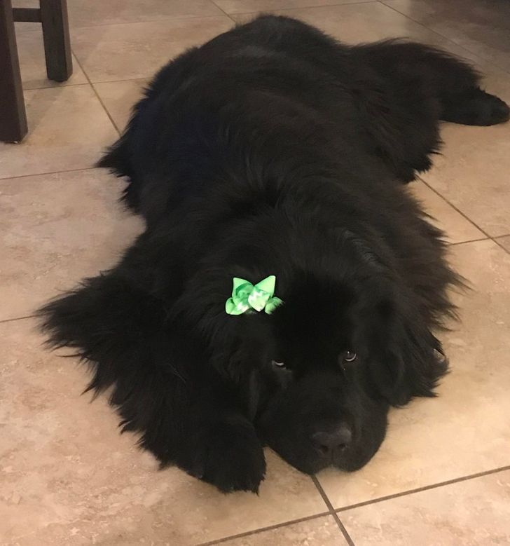 b60ce8519a93bb9369d0f785c3