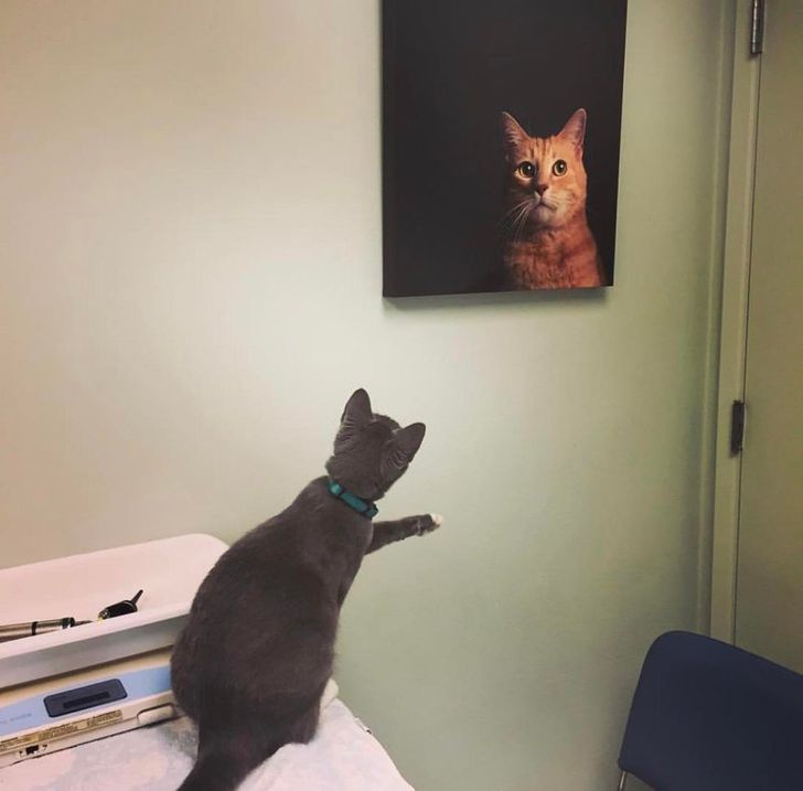 b619535020ae9c6d4c2e92a467