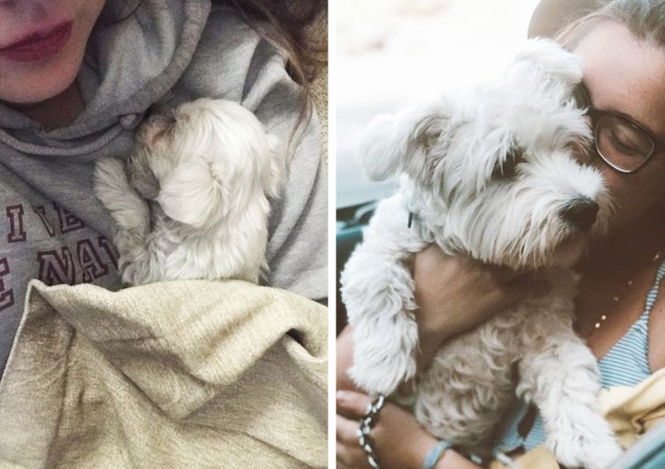 b6220a53d19e93f9130bba9630