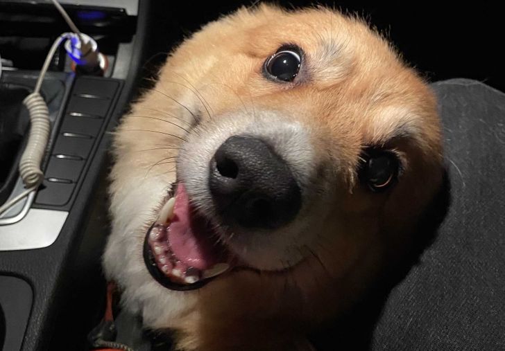 b6264957da94e3c855c1d3d368