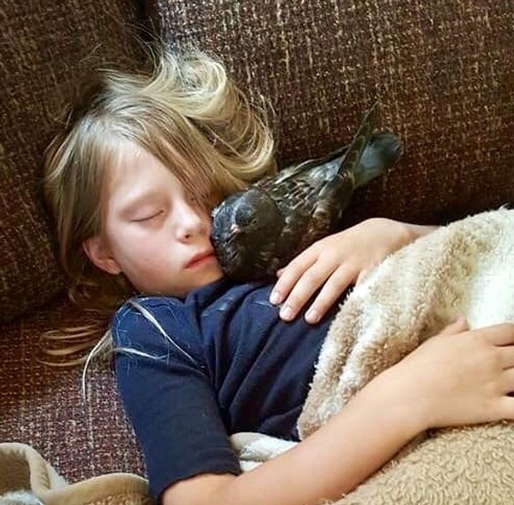 b62aa257ebaf455e58a92951fd