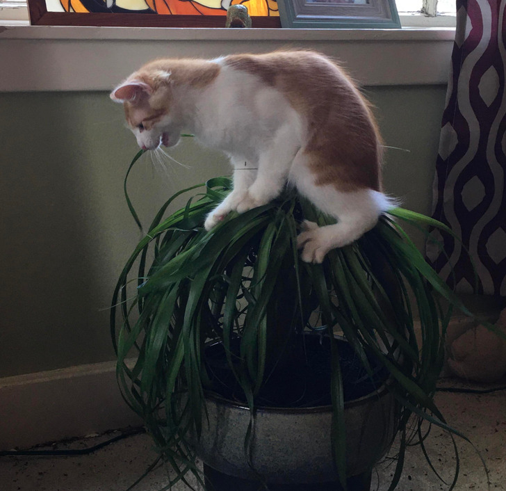 b62b905317959859273885f24f b62b905317959859273885f24f