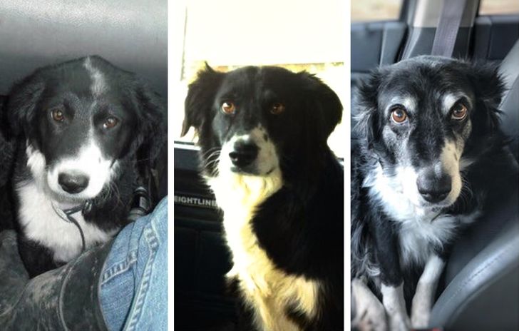 b62c705eb7aad4d1aeebb9cdcb