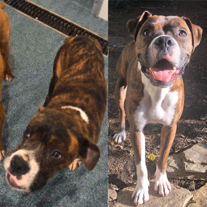 b6559b597cb59982659dc2a1be