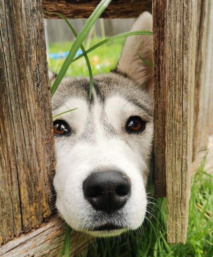 b657b857fab2dccf6402fa2789