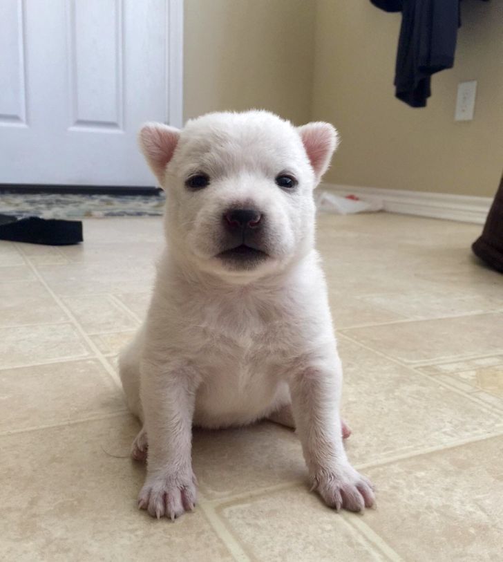 b661125499ae5893c59cf90c22