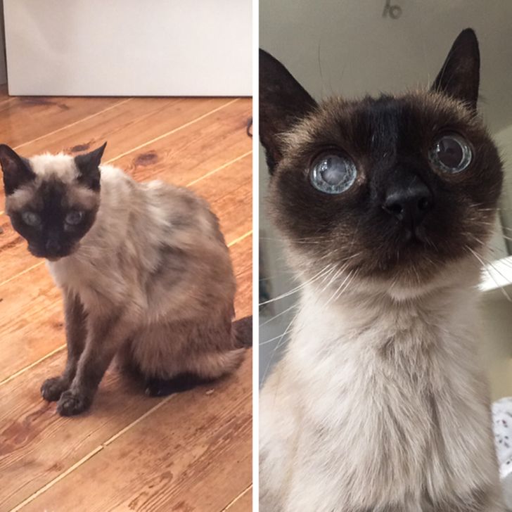 b666e45090a0846a5f762fb27c