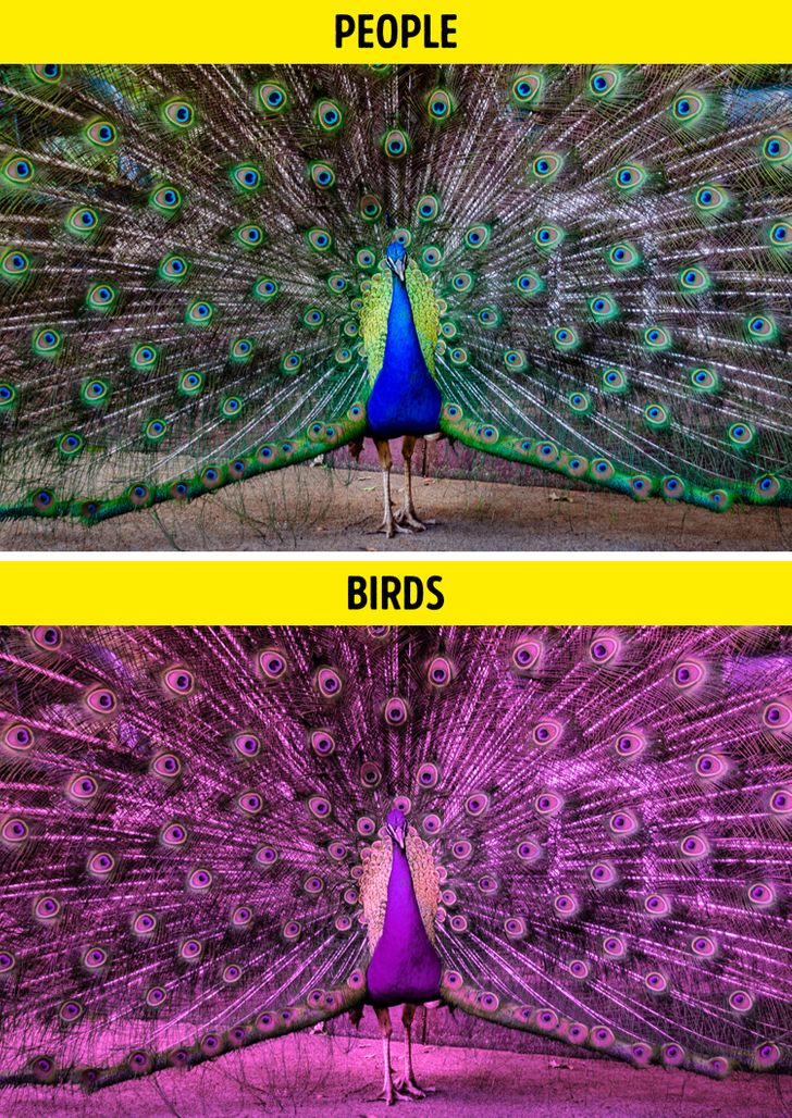 b668575ebf96ca7a898391235e