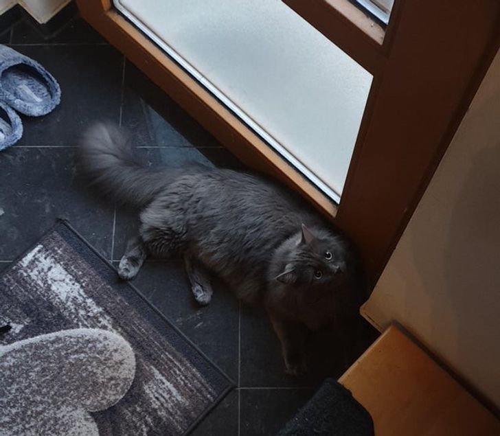 b668f1508db39c1a26d8fe3fbb