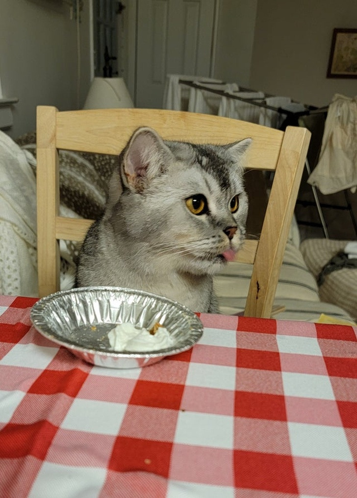 b6729b58ba8b0fe37b0cfb739d