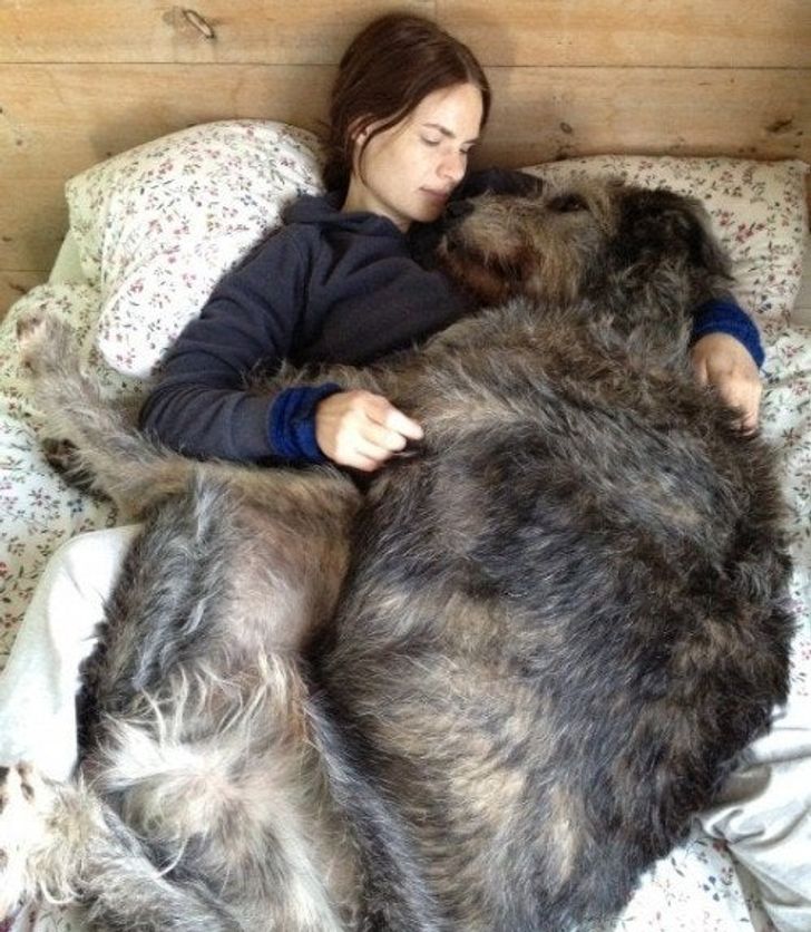 b6834e595480673011fa076eb2