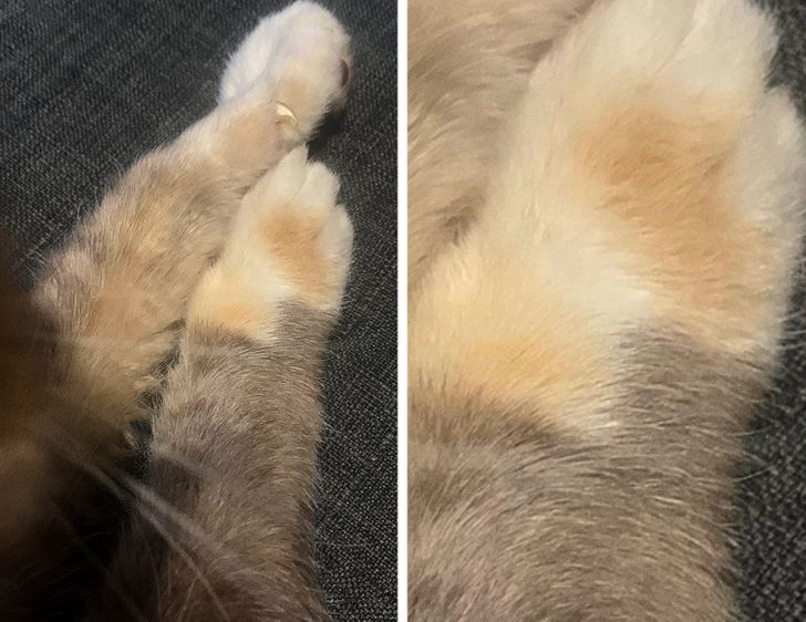 b683f958de90bd5f23e68c7b5f