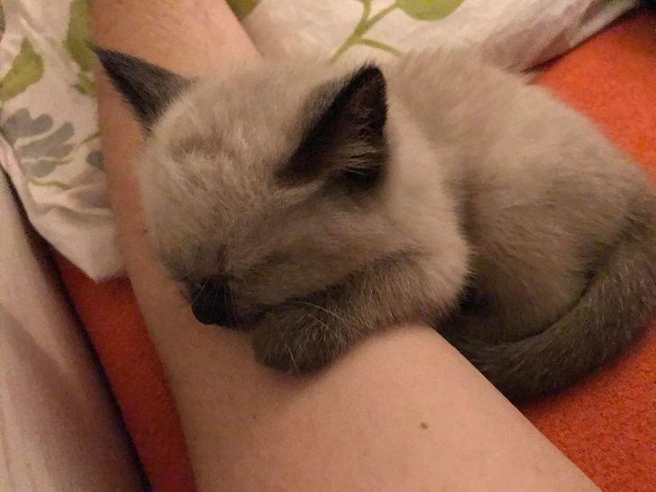 b688c85709a0bf1c5f79c34bad