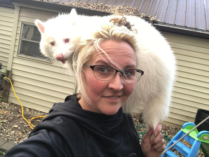 b68e7d5f4abd0e2bbaf9bc3d2e