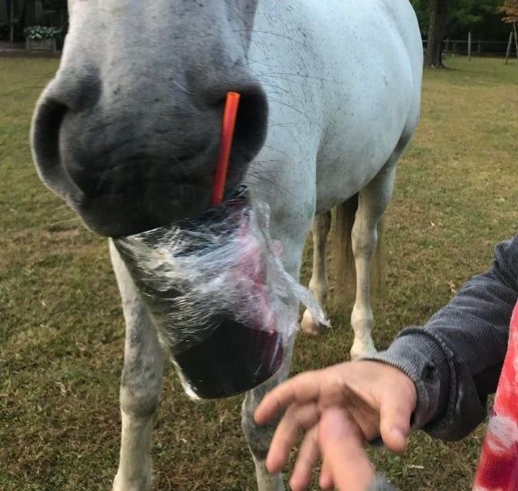 b696f25fd088a791893ffe4400