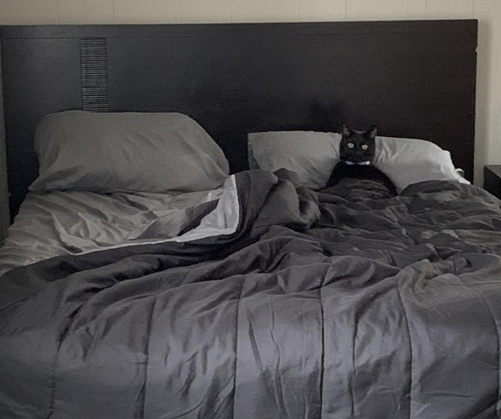 b697a258bba27eb68689a2fbc8