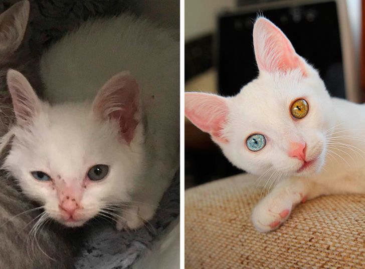 b6a32a5642b4ad5bdb9b71cfd4