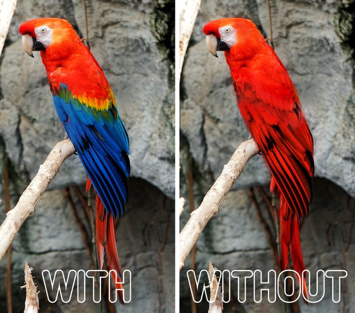 b6a4175923bc5606ddcd7e221c