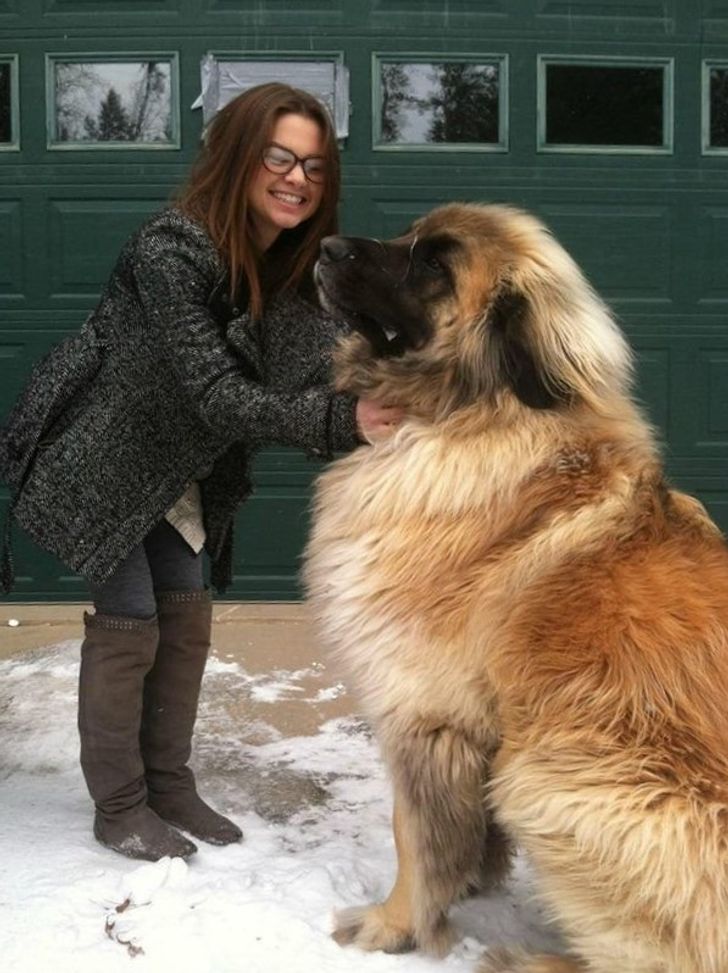 b6a5b25686b6049fb5310fe01b