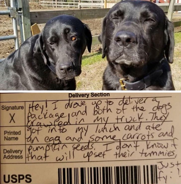 b6a6655c1ca12d00fe15aca971