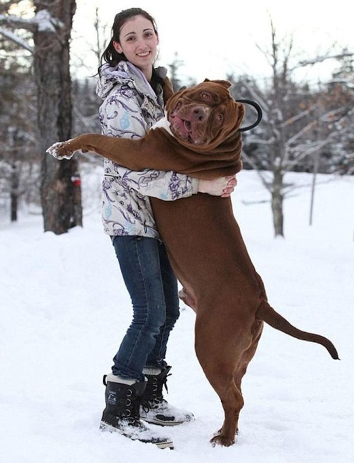 b6aa8f5773bac61eada8fb6aec