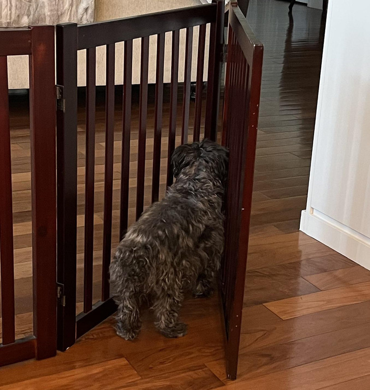 b6b635511ab0a2b0bbc493359b