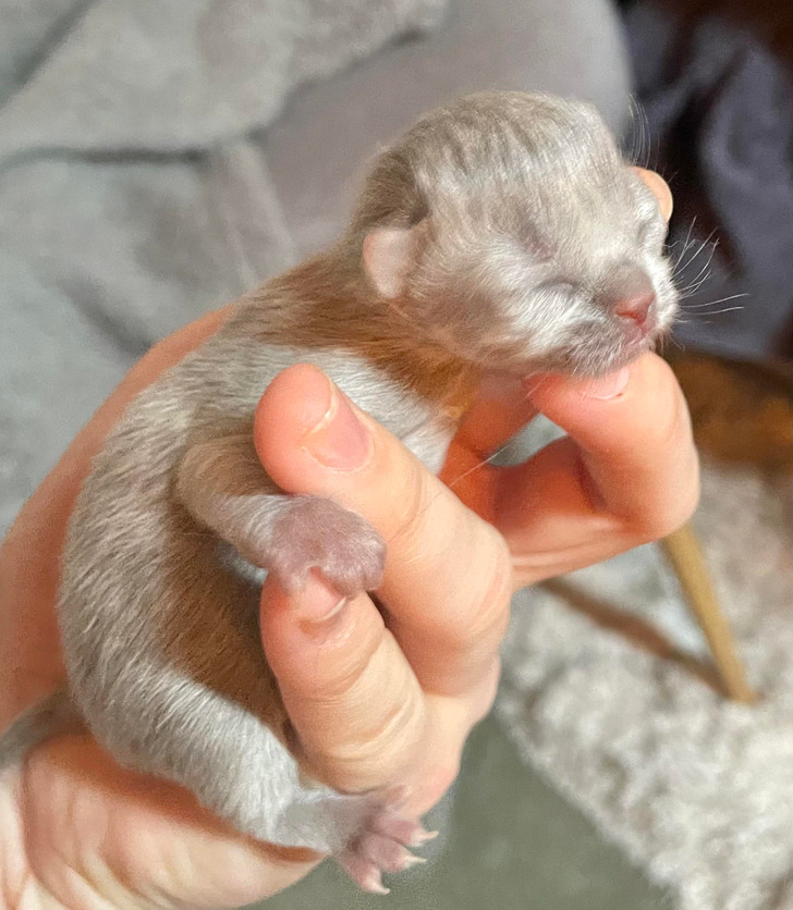 b6b67254229ad1860290f4db7a