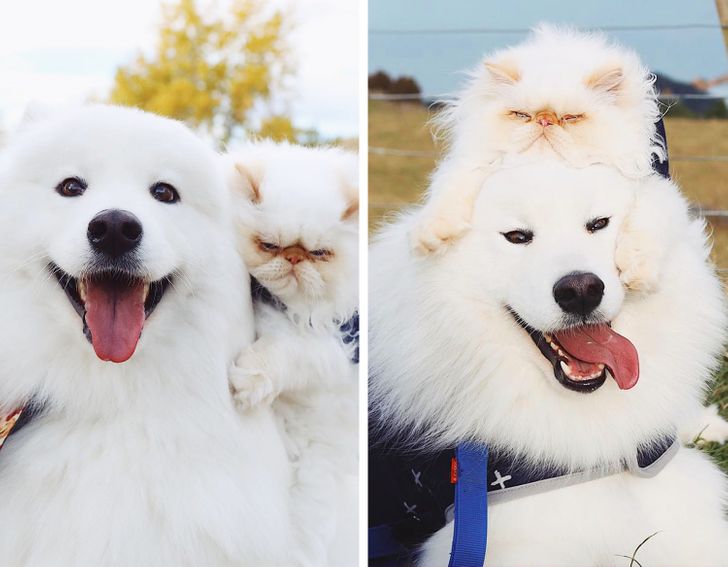 b6c8145bd3bf9b9b752cce063d