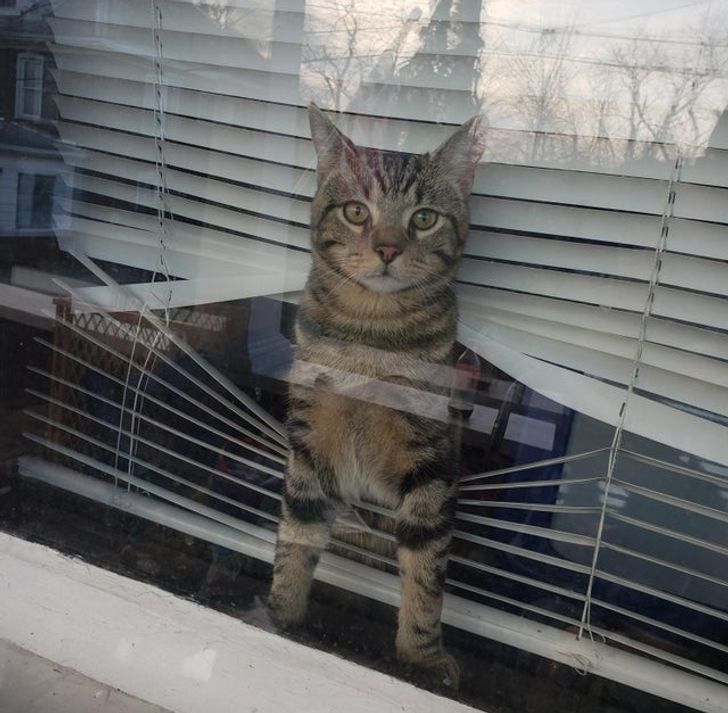 b6c8575392a9c9cd64e9175d4c