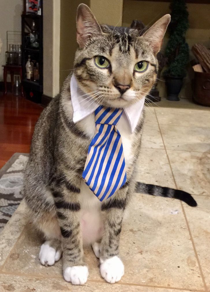 b6ccb05837a5285dafb7951884