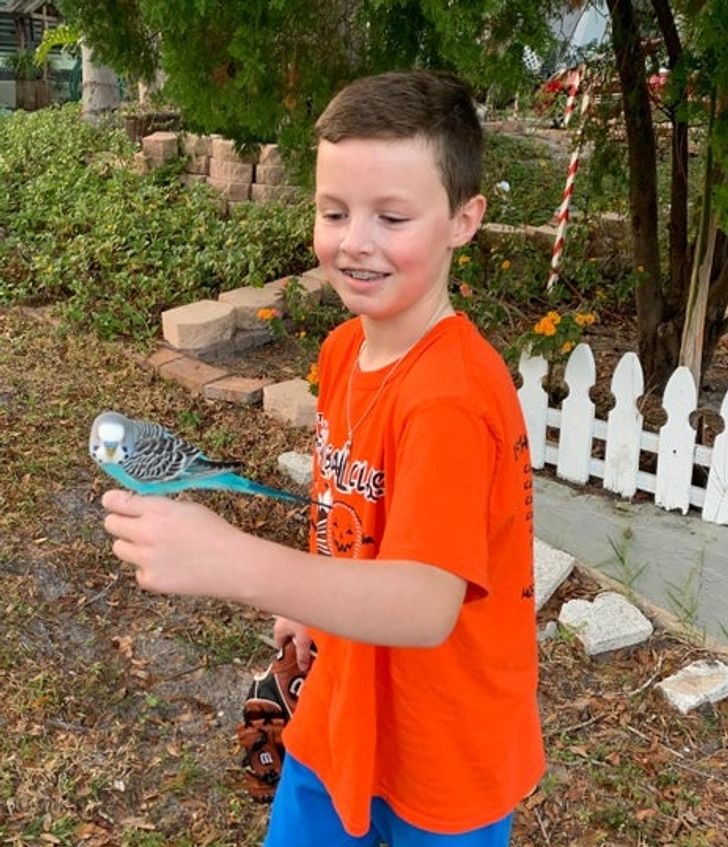 b6cd28541d806759fe075fb242