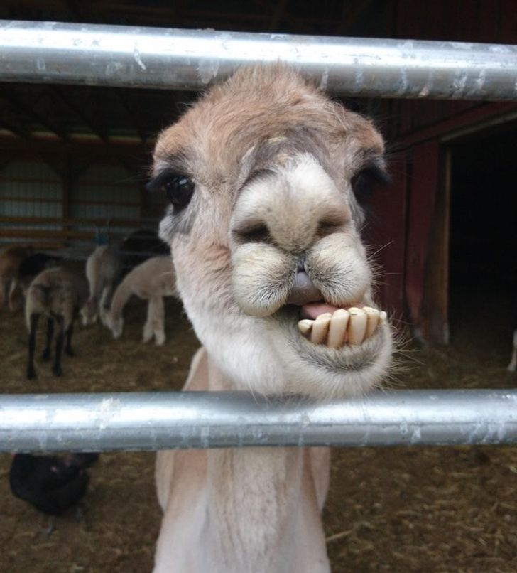 b6cdfa5318a021cf5e19b243ac