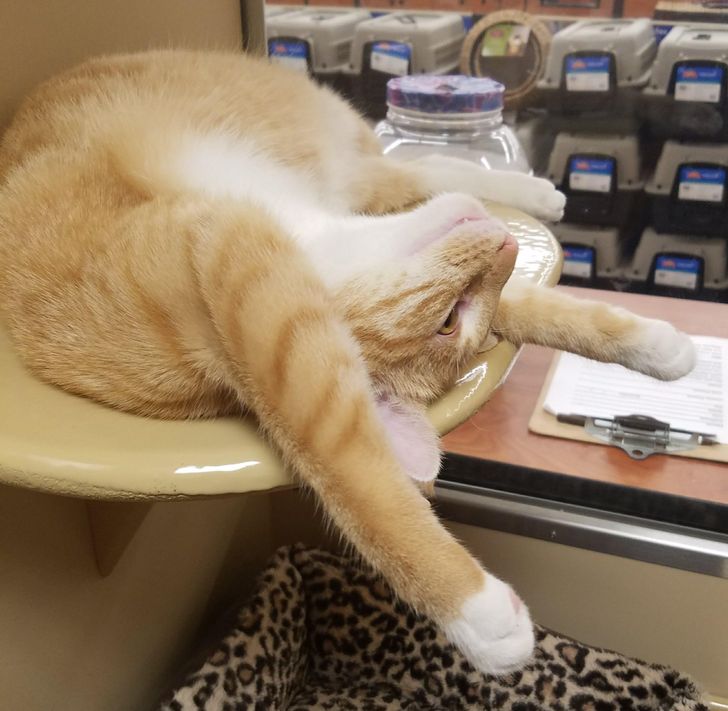 b6cece536c95759c74c62a0499