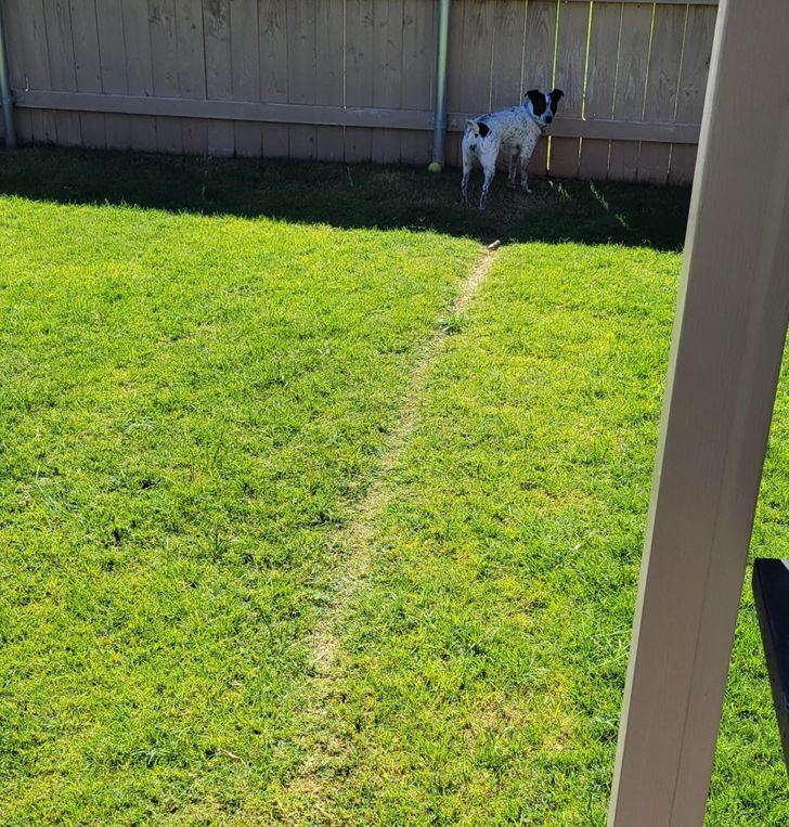 b6cf7d563882a19a855af3ece3