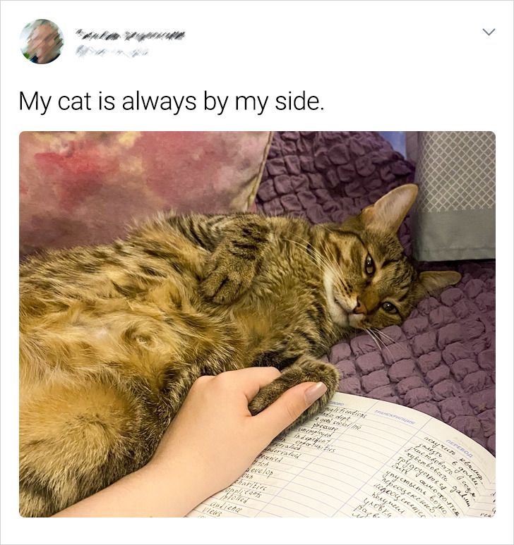 b6d63b57cca6e428558a103521